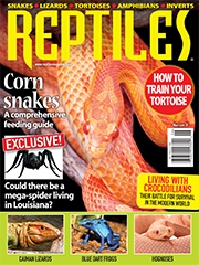 Reptiles